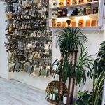 عطاری و گیاهان دارویی سینوهه