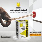 کلینیک اسلبکاران ریاحی