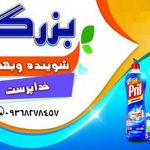 شوینده وبهداشتی بزرگمهر