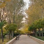 دانشکده مدیریت و حسابداری