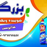 شوینده وبهداشتی بزرگمهر