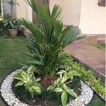 شرکت سمپاشی شیمی گستر