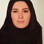 وکیل روناک حیدری