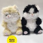 فروشگاه اینترنتی عروسک دات کام(مرزداران)