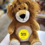 فروشگاه اینترنتی عروسک دات کام(مرزداران)