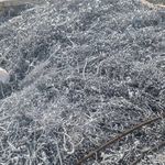 آقای ضایعات