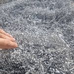 آقای ضایعات