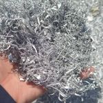 آقای ضایعات