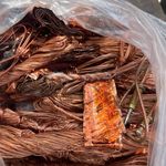 آقای ضایعات