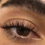 ويلش خدمات مژه