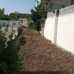 علی اصلانی اندرابی