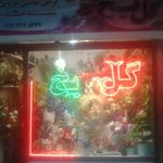گل یخ