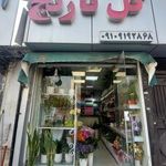 گل نارنج