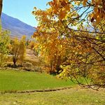 اقامتگاه بومگردی مروارید گلک