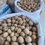 مواد غذایی حبوبات و خشکبار کارپرداز