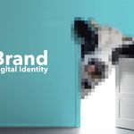 آویده - آژانس برندینگ و دیجیتال برندینگ