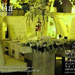 تشریفات آرالیا