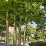 بوستان پلیس