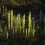 روستای جزینان