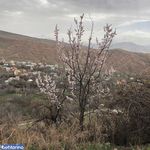 روستای جزینان