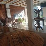 اردوان کافی