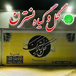 گل و گیاه نسترن
