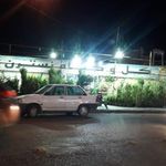 گل و گیاه نسترن
