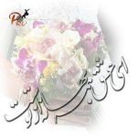 عکاسی فرامرز خسرويان