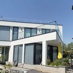 سید سعید حسینی