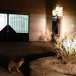 ساختمان خورشید Khorshid Building بناية خورشيد