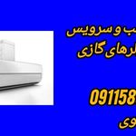 رضا تقوی دنگسرکی