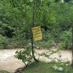 قهوه خانه دو قلو متاجی 