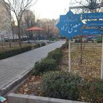 بوستان معین نژاد
