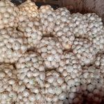 بار فروشی شمس الله قلیوند و برادران حجره ۱۰۰