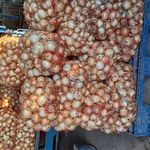 بار فروشی شمس الله قلیوند و برادران حجره ۱۰۰