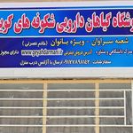 عطاری مرشد