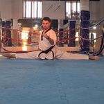 باشگاه رزمی تکواندو (استاد دانیال باوری) نیاوران ۲