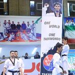 باشگاه رزمی تکواندو (استاد دانیال باوری) نیاوران ۲