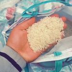 بازرگانی برنج داخلی و خارجی شمرونی