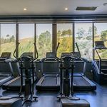 باشگاه و استخر شاهین