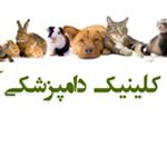 کلینیک دامپزشکی آراد