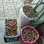 میوه فروشی چهارفصل