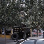 لاستیک میرزائیان