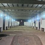 باشگاه سوارکاری وکافه مهتاب