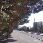 فضای سبز