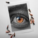 گالری آموزش نقاشی ناهید