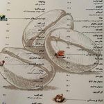 رستوران ولوپارکو