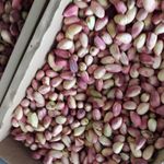 سوپر میوه لاهردی