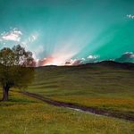 روستای دیزان