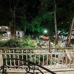 کافه رستوران باغ ایرانی
